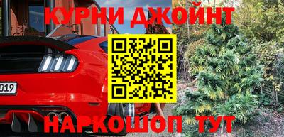 ГАЛЛЮЦИНОГЕННЫЕ ГРИБЫ Кингисепп