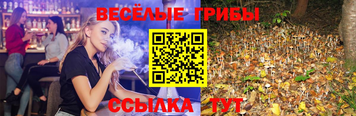 Псилоцибиновые грибы ЛСД Кимры